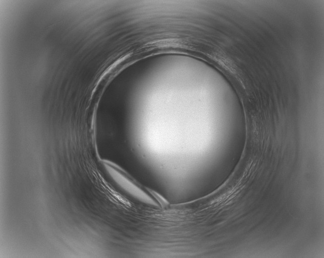 X0000056320782200509161642