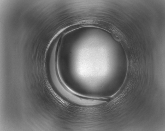 X0000056320784200509161642