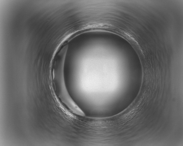 X0000056320792200509161642