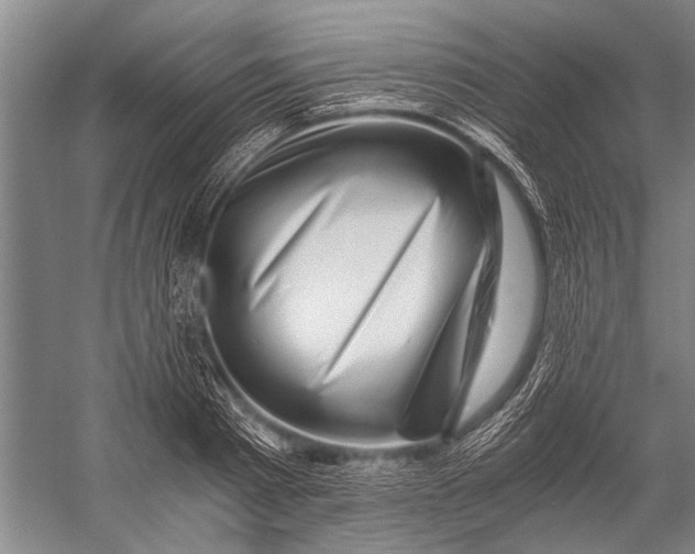 X0000056320793200509161642