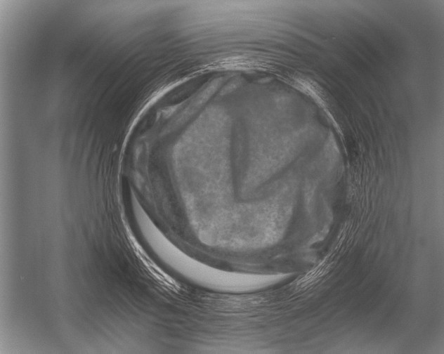 X0000056320795200509161642