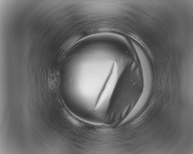 X0000056320801200509161642