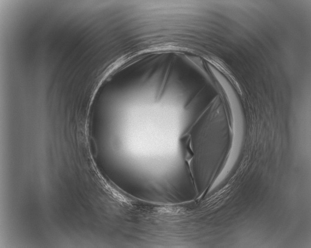X0000056320805200509161642