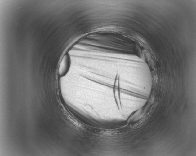 X0000056320808200509161642