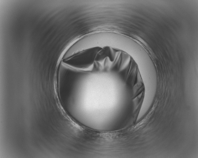 X0000056320812200509161641