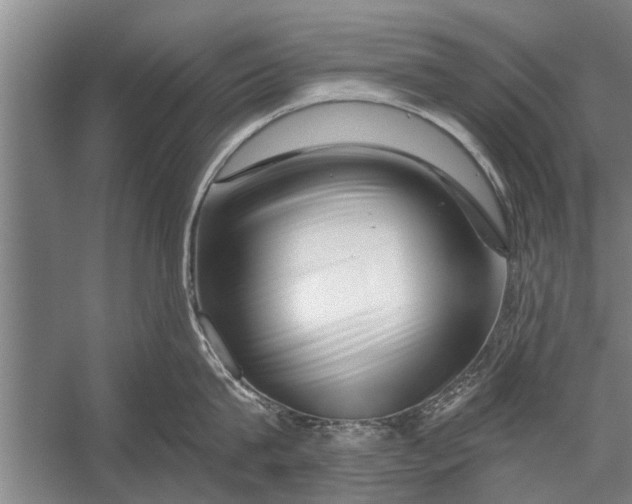 X0000056320815200509161641
