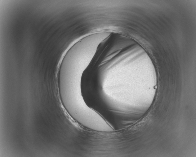 X0000056320816200509161641