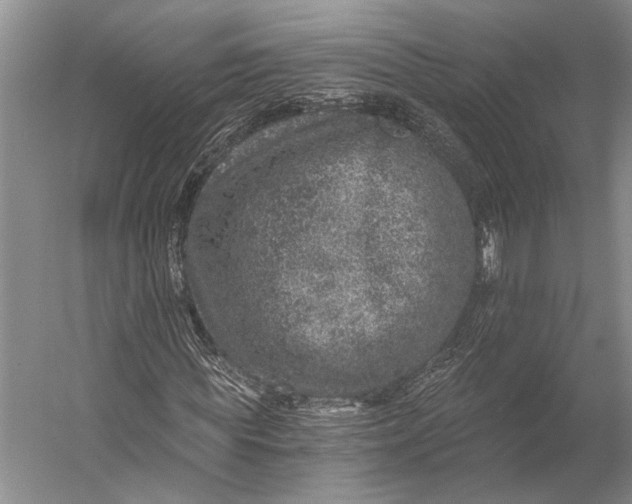 X0000056320819200509161641
