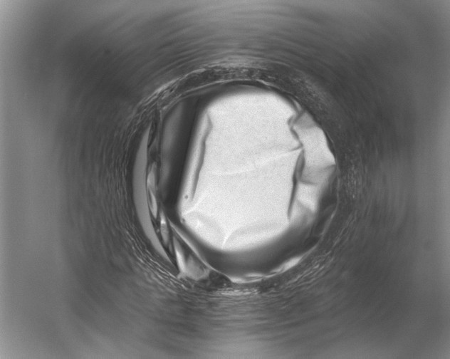X0000056320821200509161641