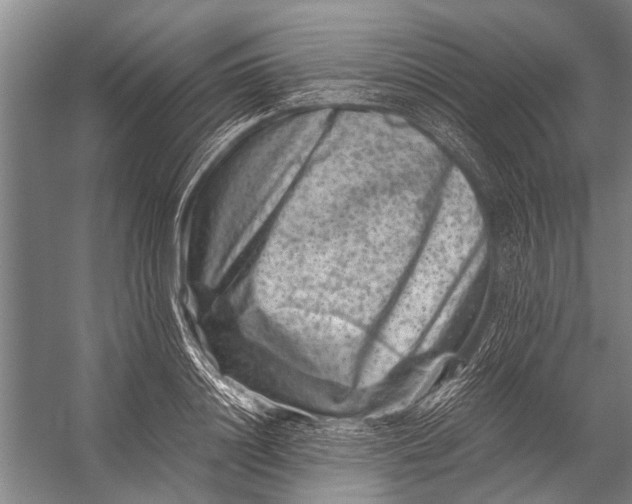 X0000056320844200509161641