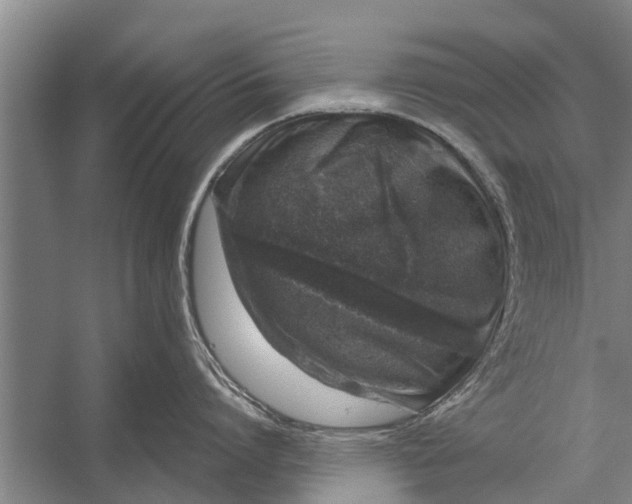 X0000056320864200509161641