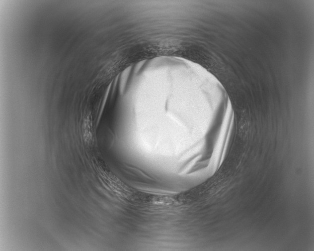 X0000056320866200509161641