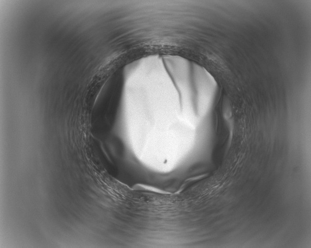 X0000056320870200509161640