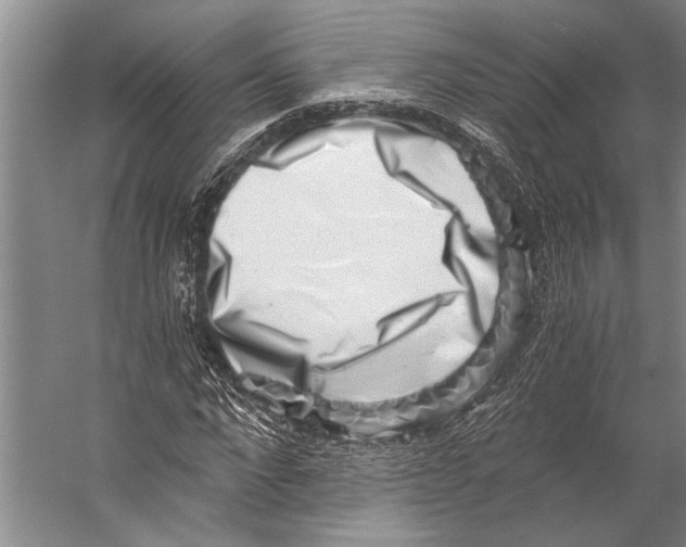 X0000056320872200509161640