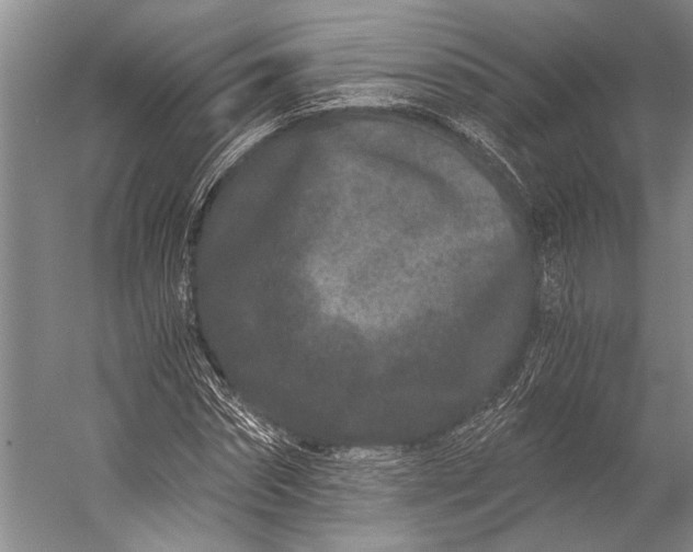X0000056320874200509161640