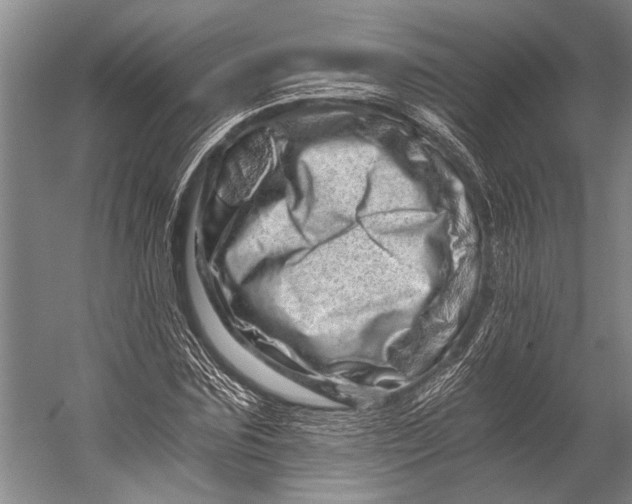 X0000056320875200509161640