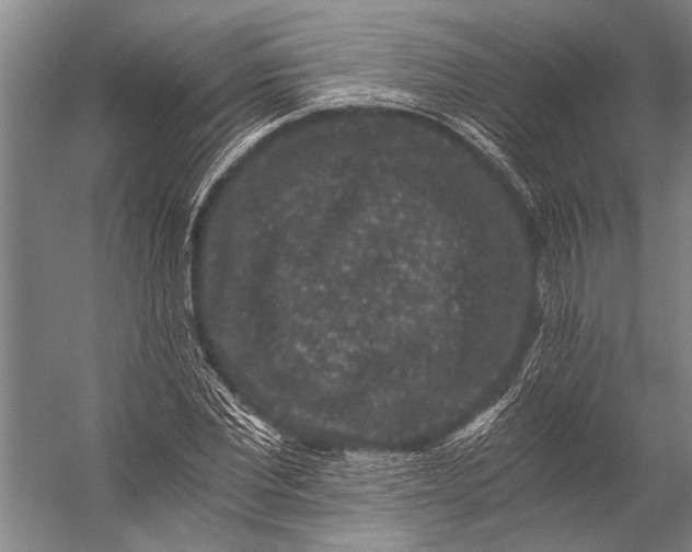 X0000056320877200509161640