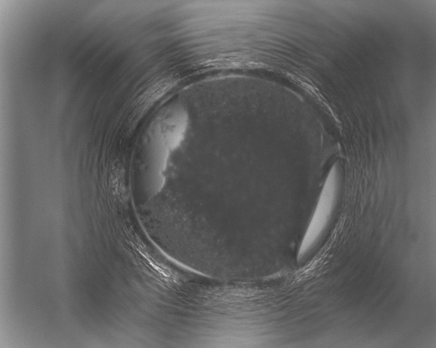 X0000056320881200509161640
