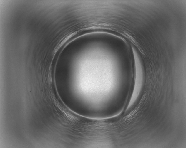 X0000056320885200509161640