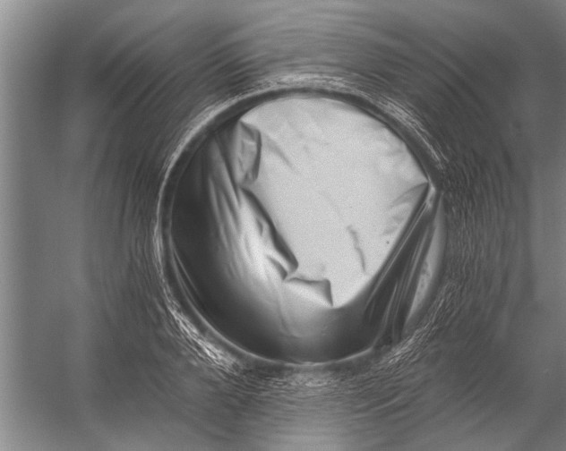 X0000056320888200509161640