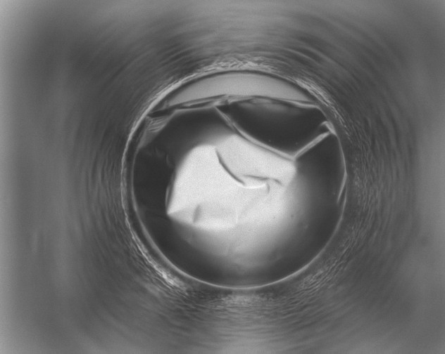 X0000056320894200509161640