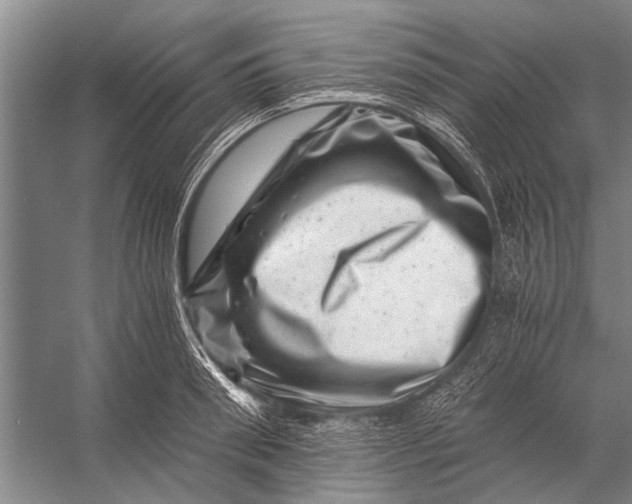 X0000056320898200509161640