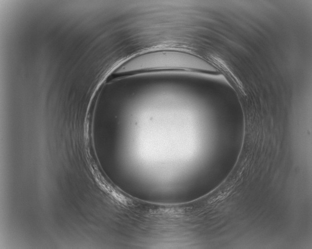 X0000056320900200509161640