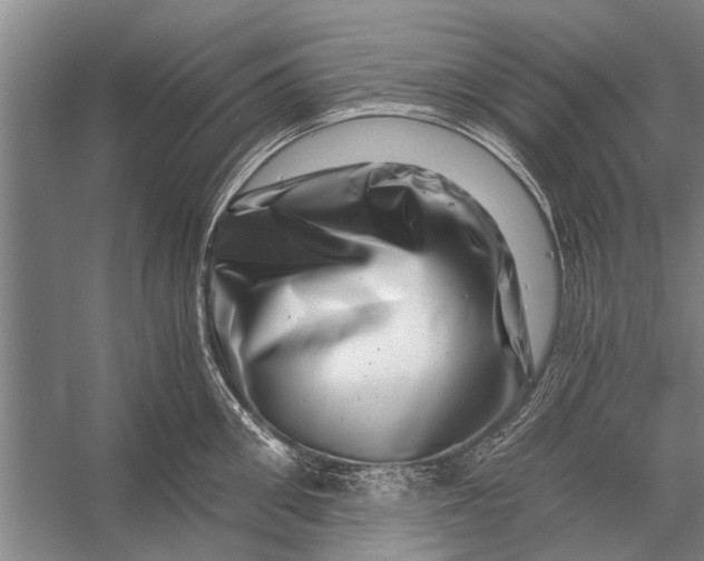 X0000056320906200509161640