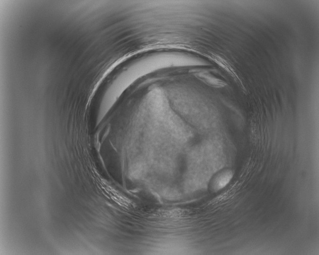 X0000056320926200509161639