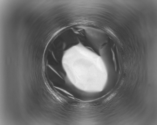 X0000056320940200509161639
