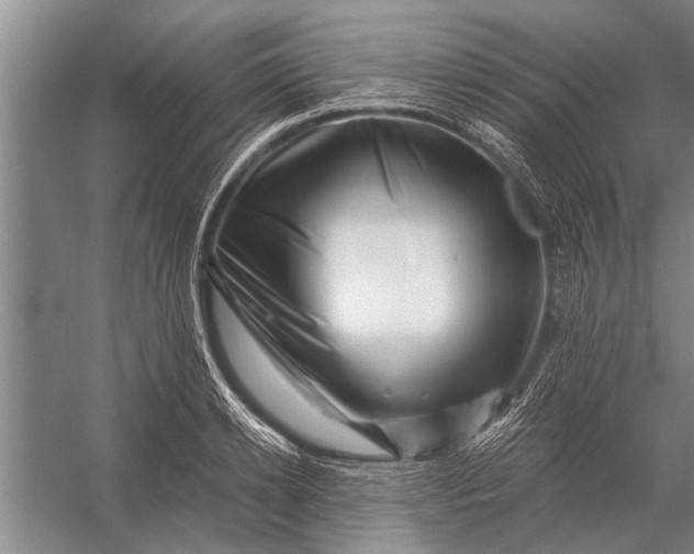 X0000056320942200509161639