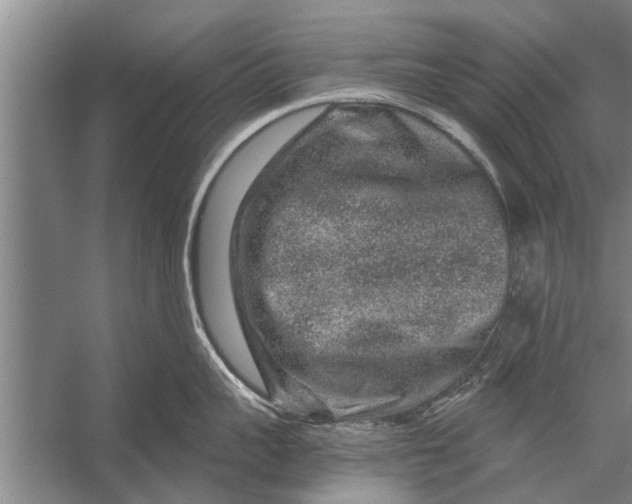 X0000056320959200509161640