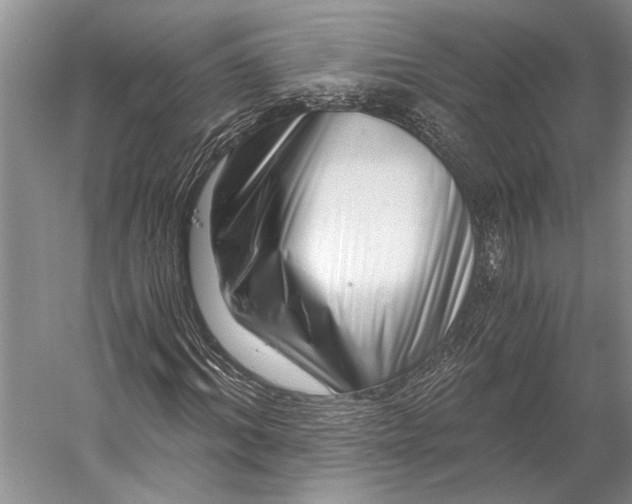 X0000056320964200509161639