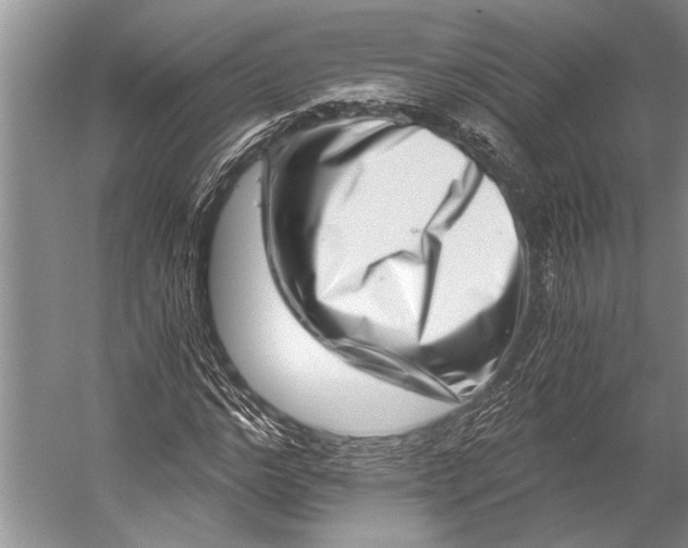 X0000056320968200509161639
