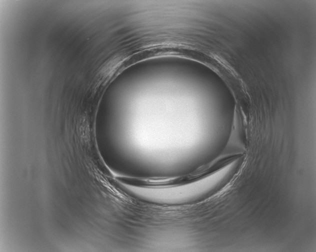 X0000056320969200509161639