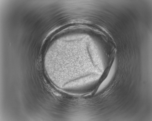 X0000056320971200509161639