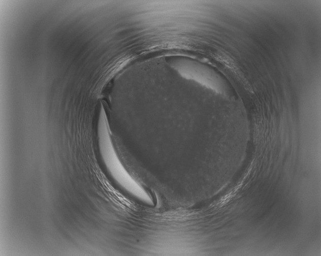 X0000056320977200509161639