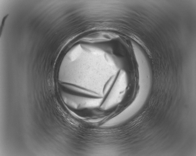 X0000056320980200509161639
