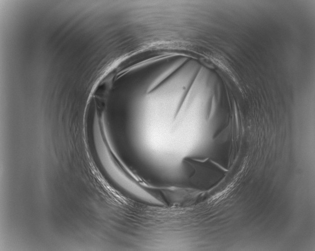 X0000056320981200509161639
