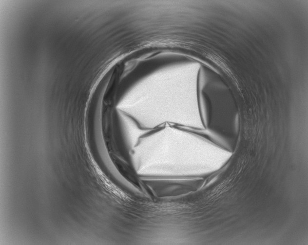 X0000056320984200509161639