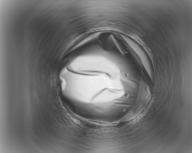 X0000056320993200509161638