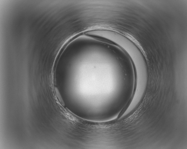 X0000056320996200509161638