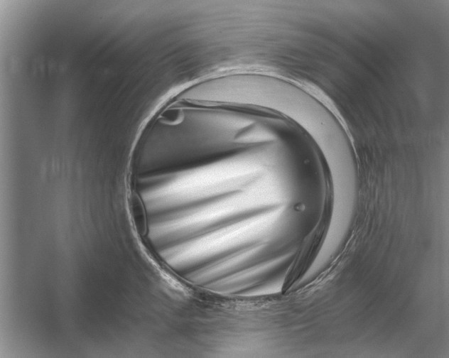 X0000056321005200509161638