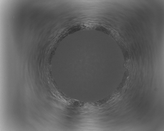 X0000056321009200509161637