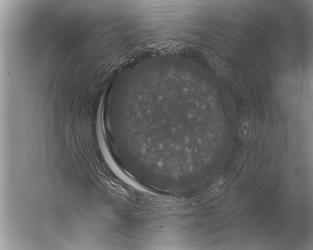 X0000056321010200509161637