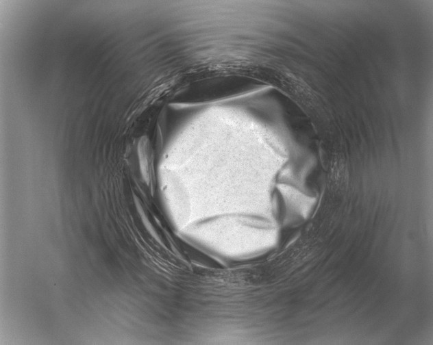 X0000056321012200509161637