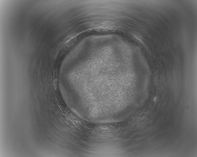 X0000056321015200509161637