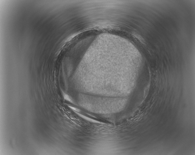 X0000056321016200509161637