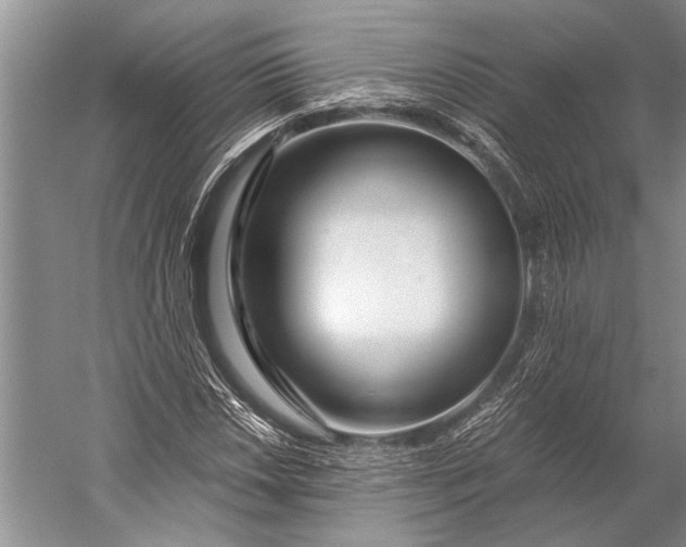 X0000056321018200509161637