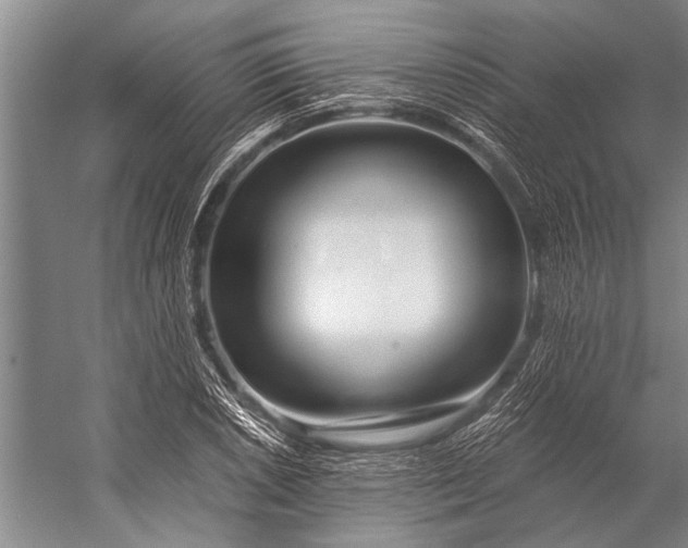 X0000056321026200509161638